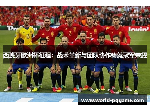 西班牙欧洲杯征程：战术革新与团队协作铸就冠军荣耀