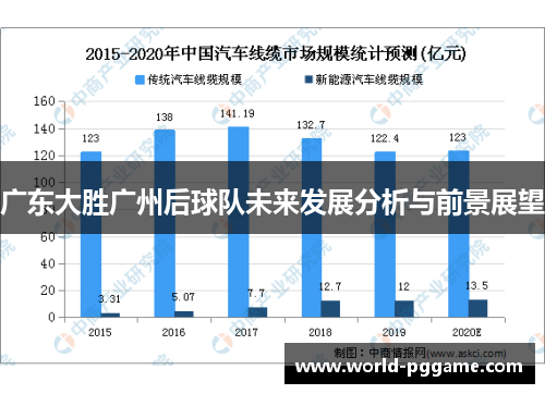 广东大胜广州后球队未来发展分析与前景展望