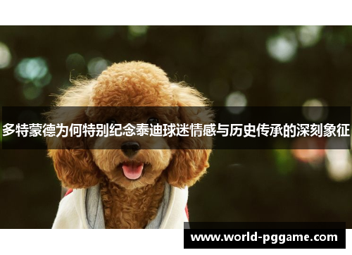 多特蒙德为何特别纪念泰迪球迷情感与历史传承的深刻象征