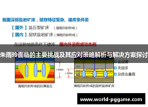 朱雨玲面临的主要挑战及其应对策略解析与解决方案探讨