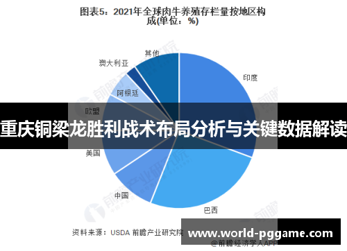 重庆铜梁龙胜利战术布局分析与关键数据解读
